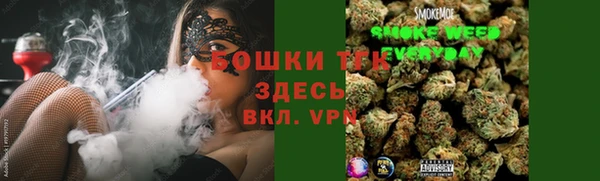 ECSTASY Алзамай