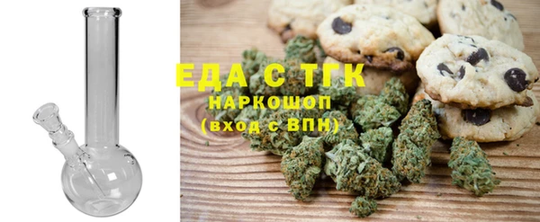 ECSTASY Алзамай
